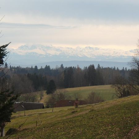 דירות Dachsberg im Schwarzwald Haus Ingeborg מראה חיצוני תמונה