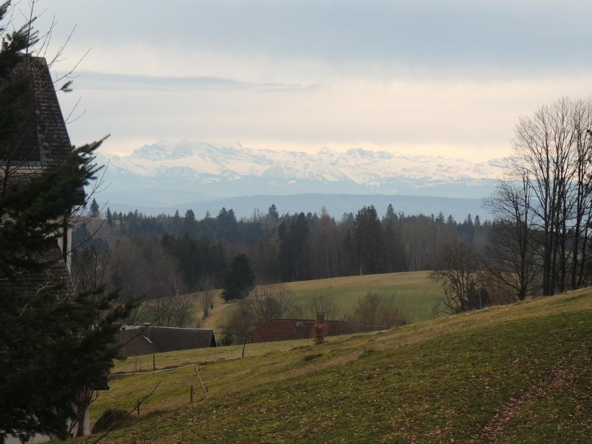 דירות Dachsberg im Schwarzwald Haus Ingeborg מראה חיצוני תמונה