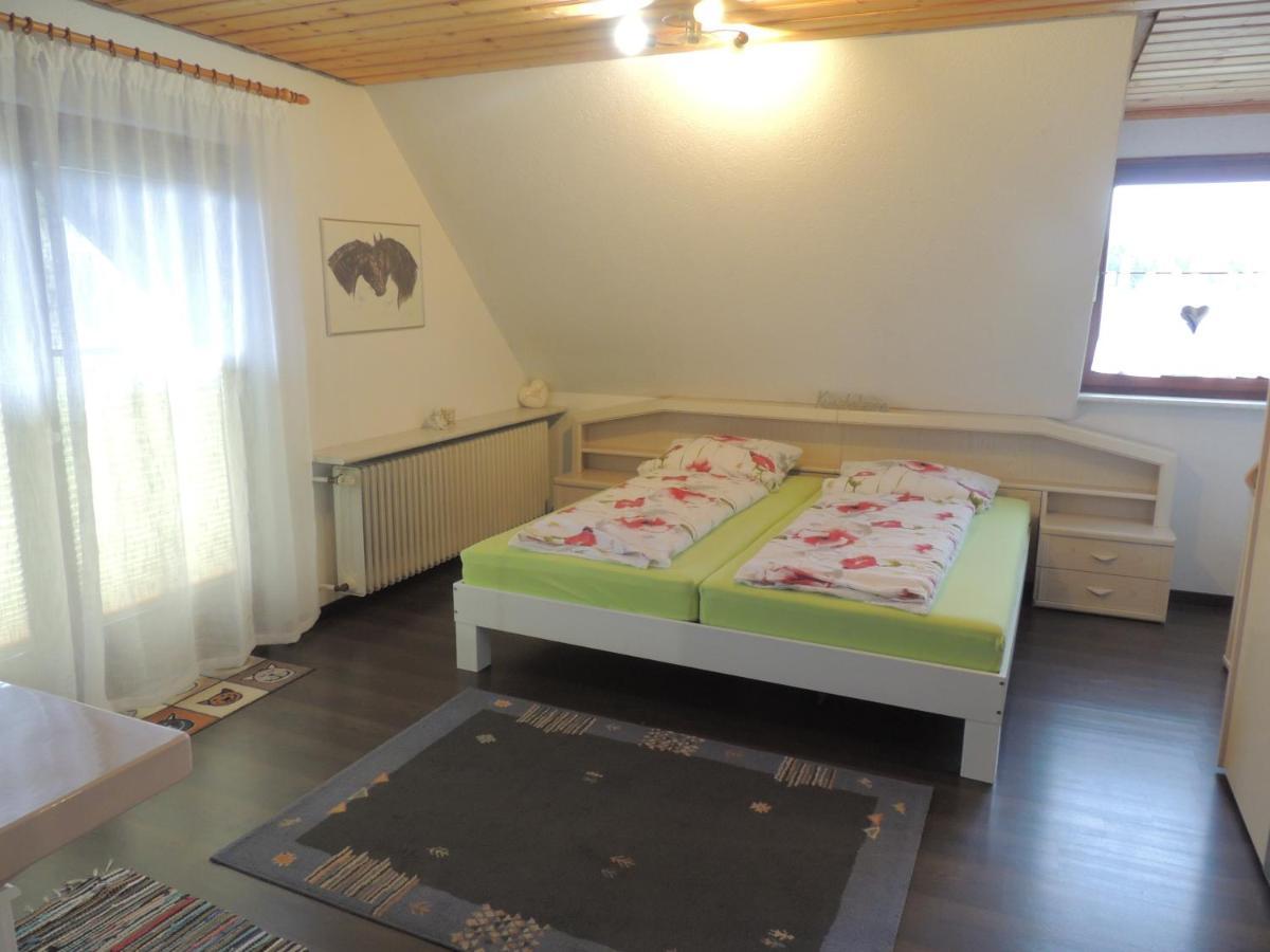 דירות Dachsberg im Schwarzwald Haus Ingeborg מראה חיצוני תמונה