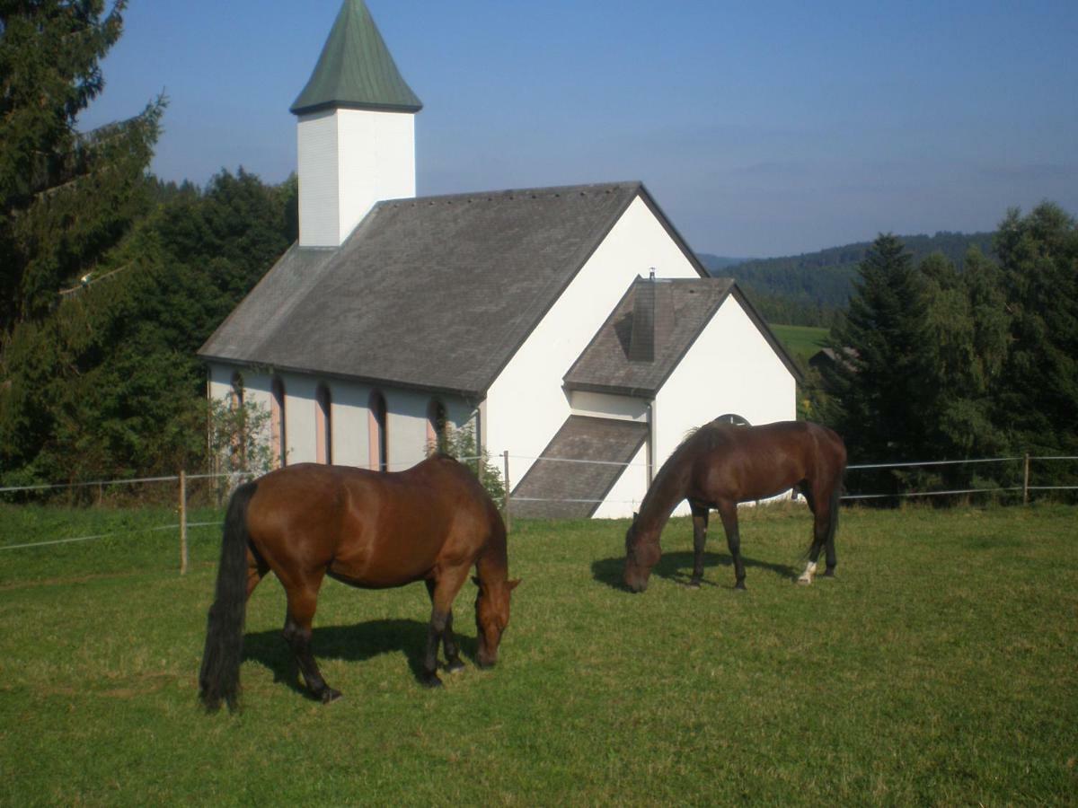 דירות Dachsberg im Schwarzwald Haus Ingeborg מראה חיצוני תמונה
